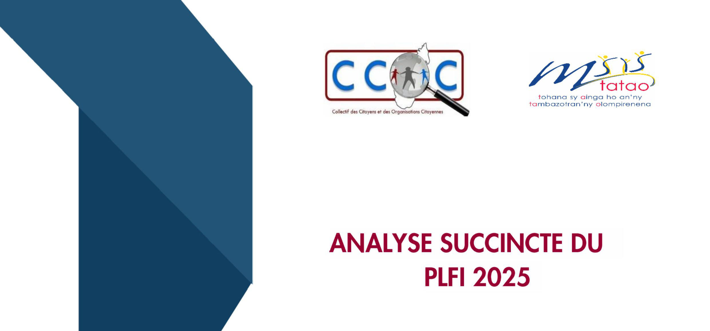 Analyse succincte du PLFI 2025